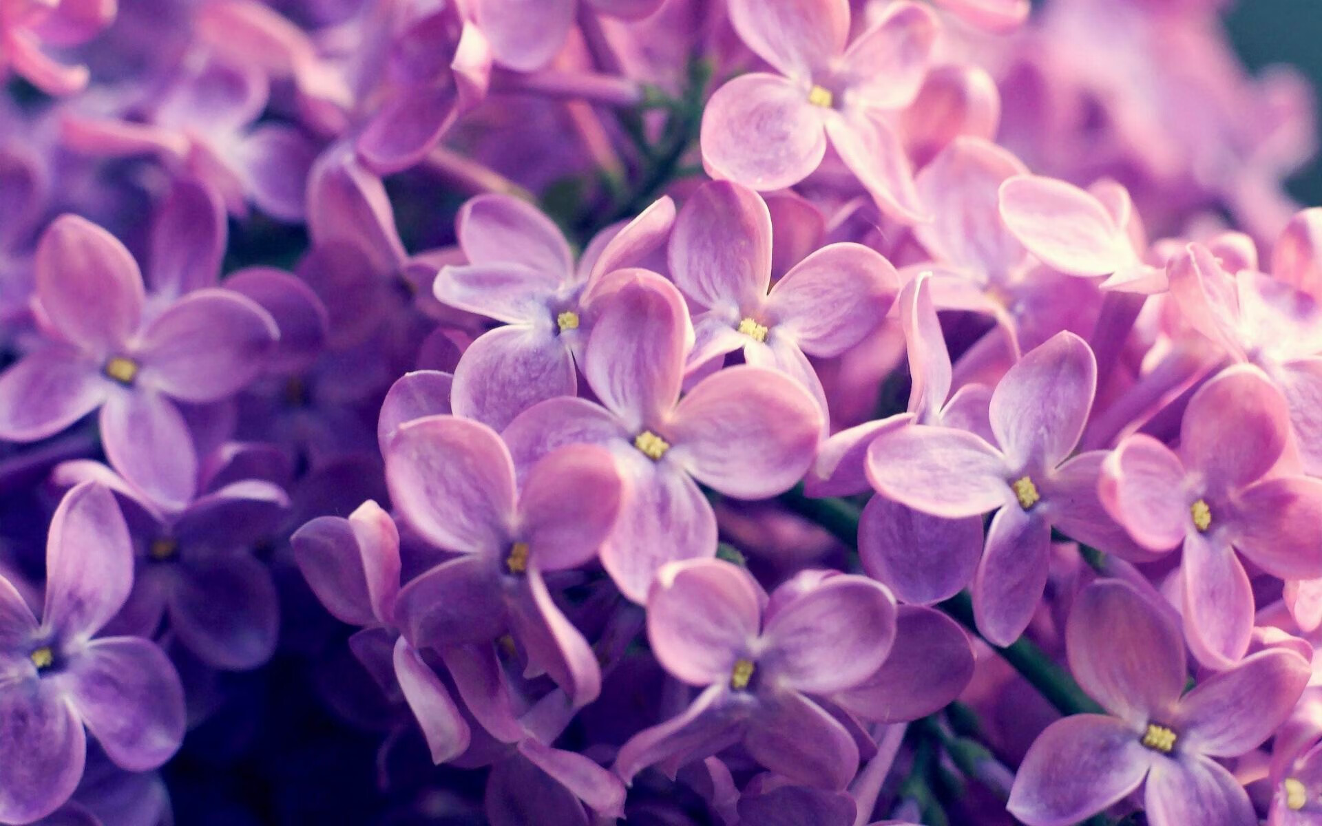 日本队在亚洲杯中表现出色,盼望佳绩