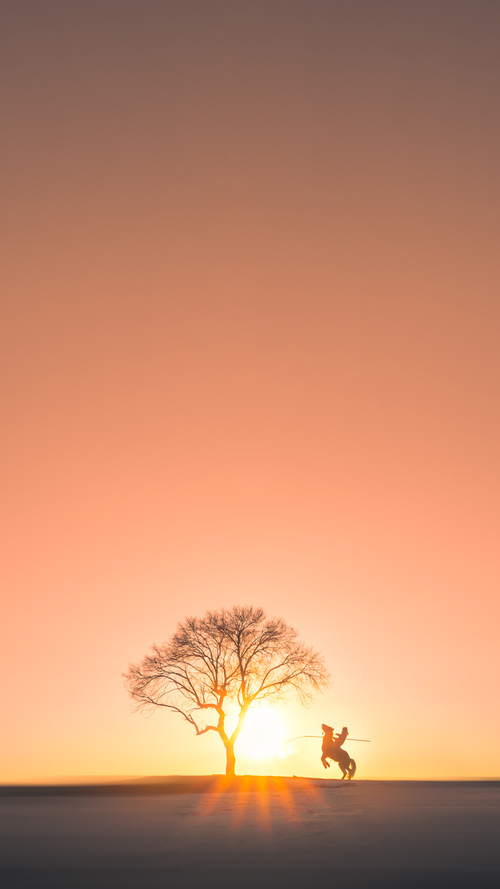 日本队在亚洲杯中表现出色,盼望佳绩